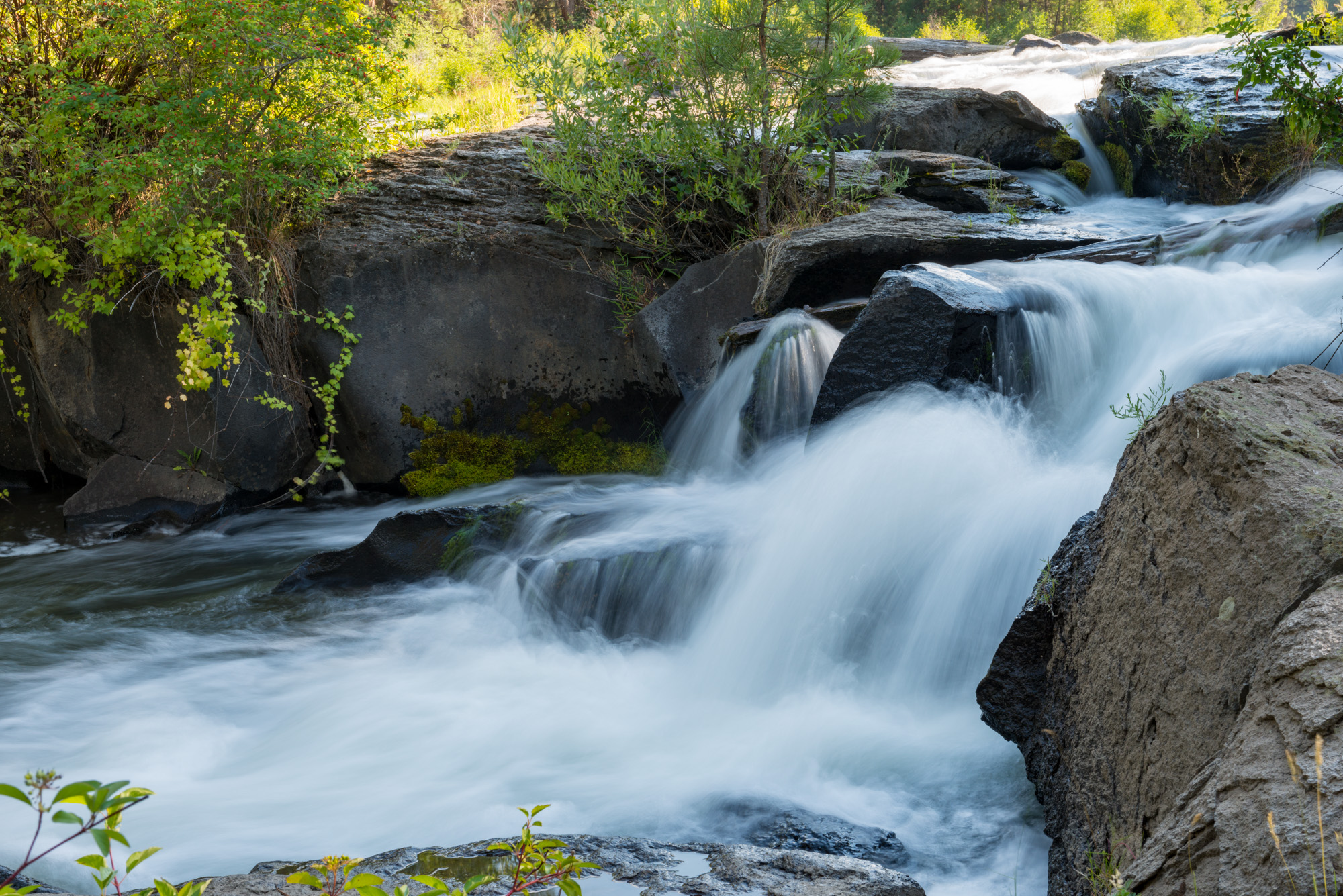 Deschutes River Trail