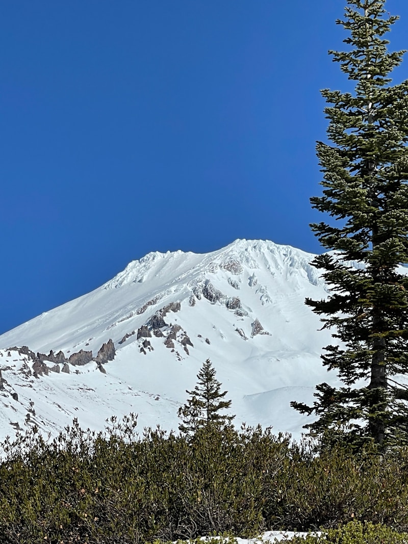 Mount Shasta